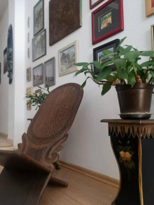 Apartment Mahala - Old Town